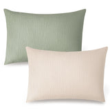 Fog Green,Cream